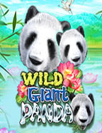 ทำความรู้จักกับบาคาร่า sagame350 บนโลกออนไลน์